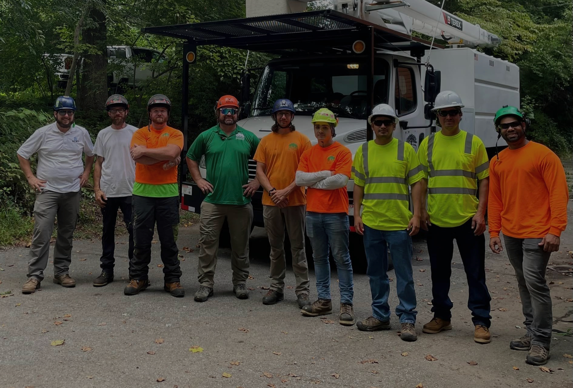 treemendous tree care crew