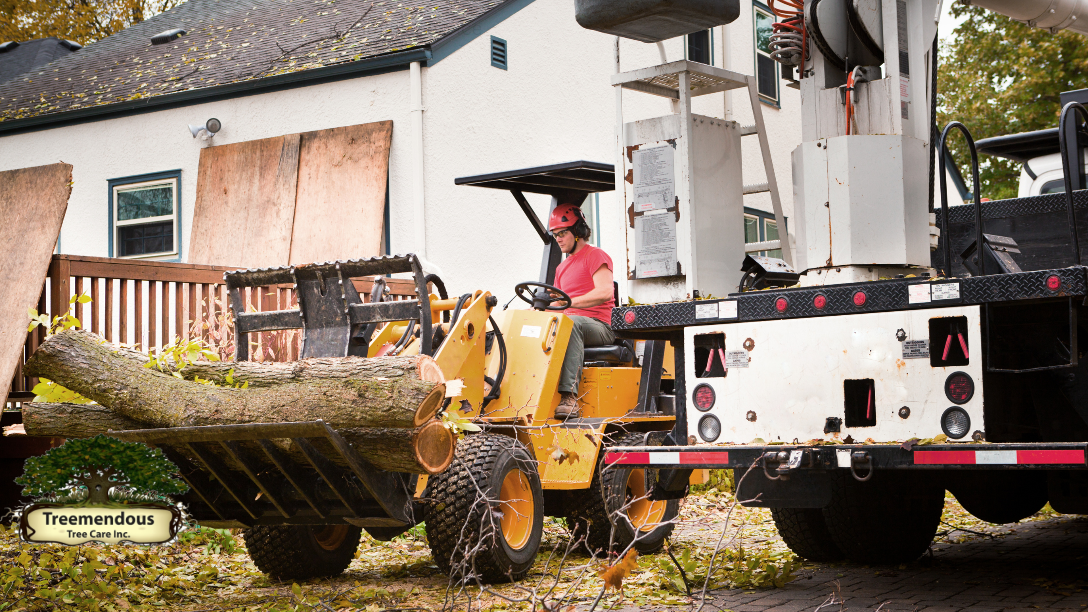 Tree Maintenance Wilmington, DE: Enhance Your Landscape with Expert Tree Care Services in the Wilmington!