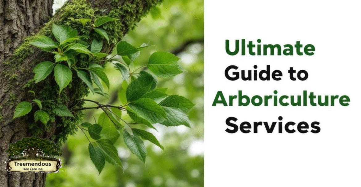 Ultimate Guide to Arboriculture Services