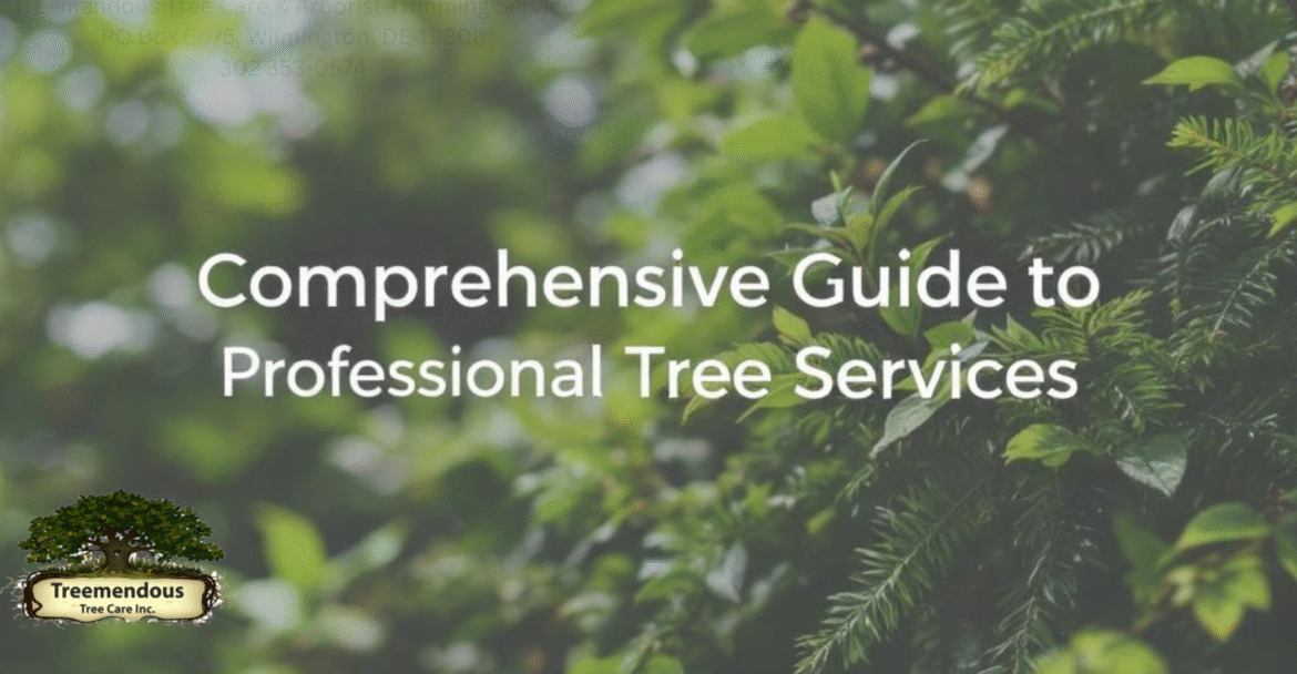 Comprehensive Guide to Professional Tree Care Services