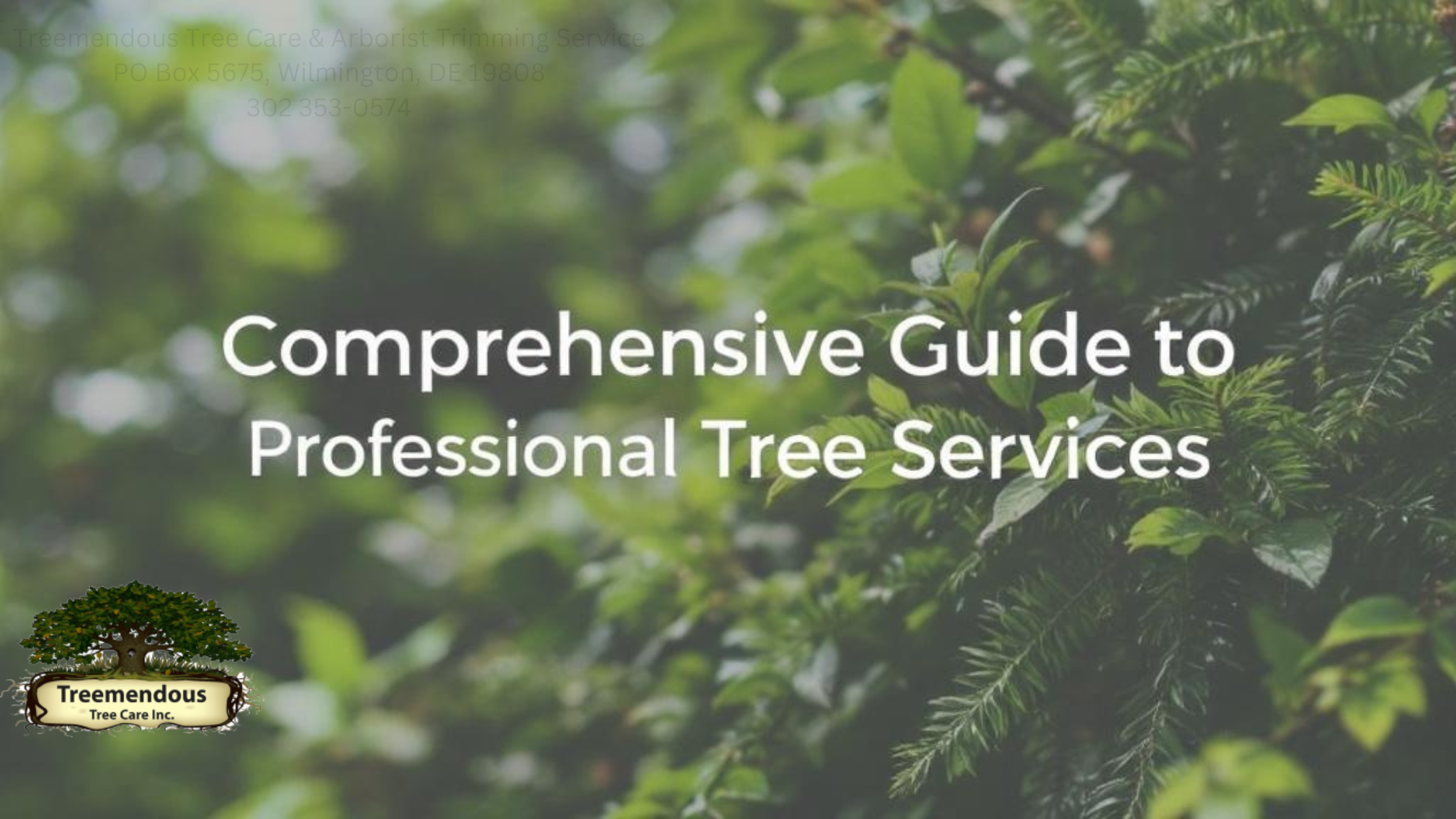 Comprehensive Guide to Professional Tree Care Services