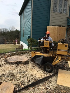 stump grinding West Goshen