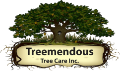 Treemendous Tree Care, Inc.