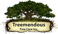 Treemendous Tree Care Logo