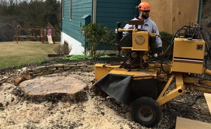 Stump Grinding